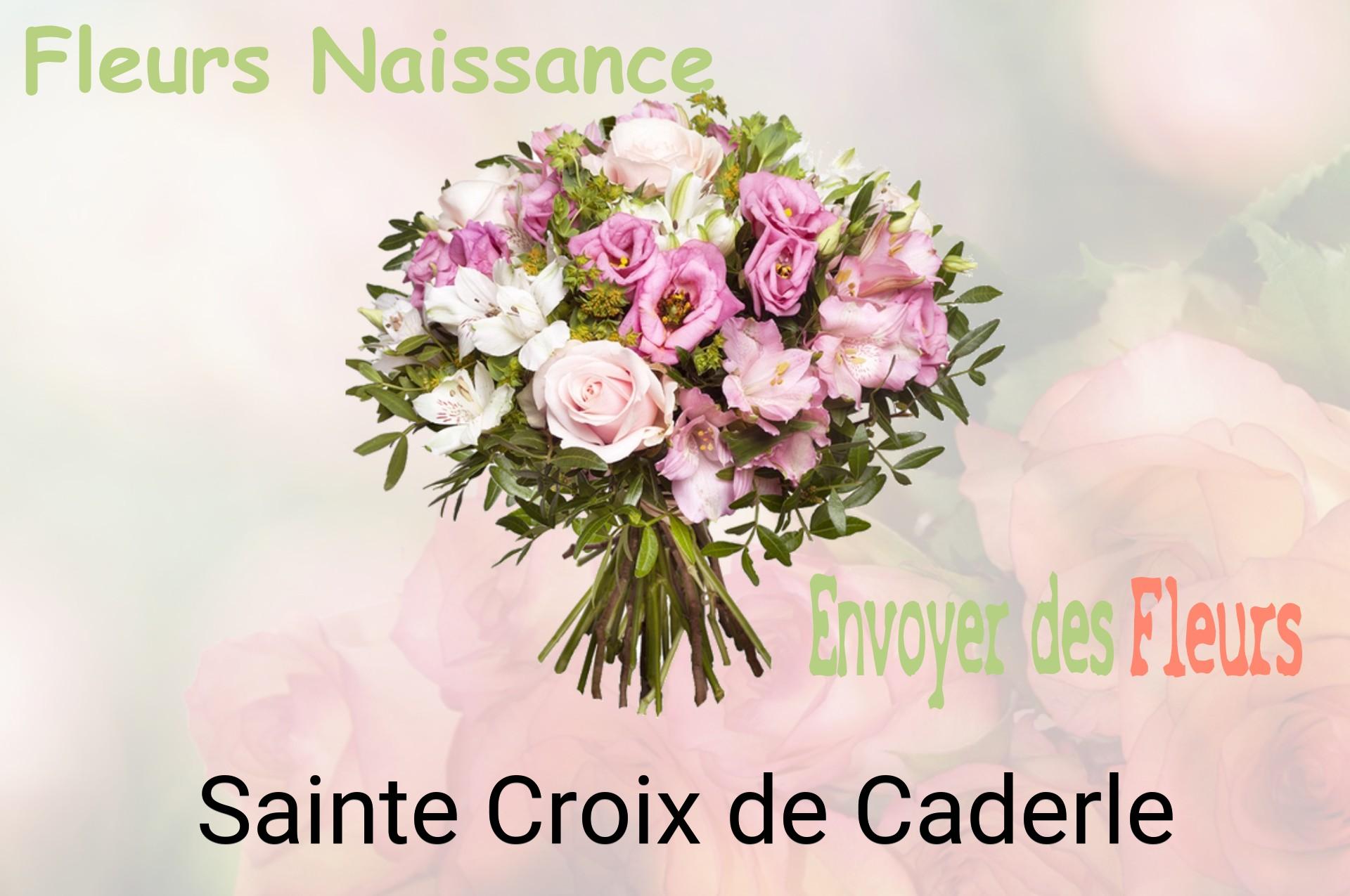 Bouquet de fleurs de naissance livré à Sainte-Croix-de-Caderle