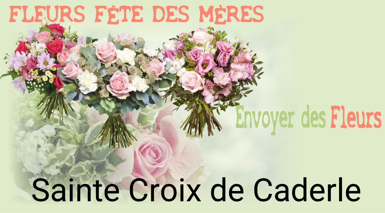 Bouquet de Fête des Mères livré à Sainte-Croix-de-Caderle